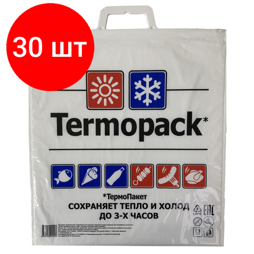 Комплект 30 штук, Термопакет эконом плюс 420х450 мм ПВД/Металл, ТПК.03