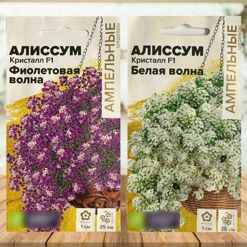 Семена цветов для дома и сада Алиссум ампельный набор 2 уп. семена алиссум кристалл f1 белая волна 4 упаковки 2 подарка