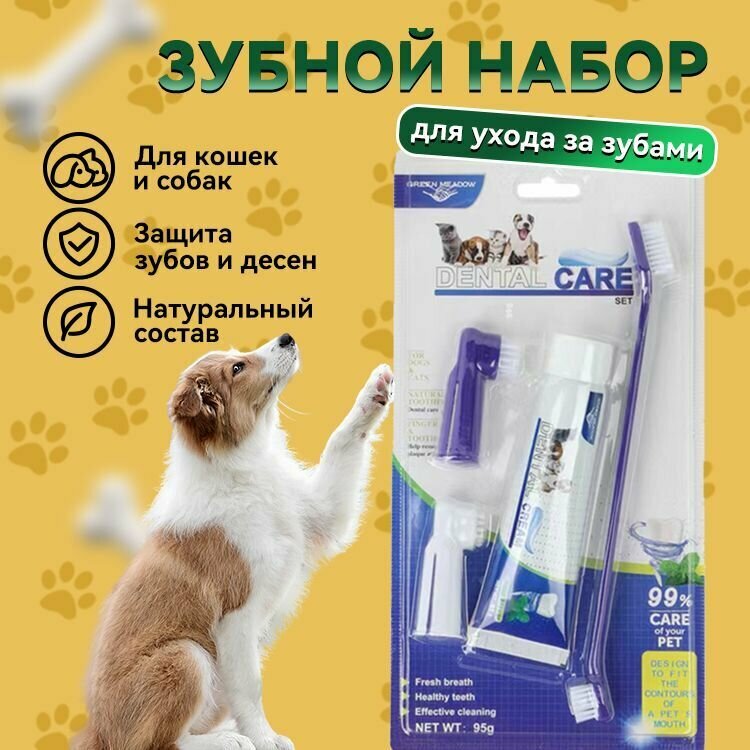 Зубная паста для собак / кошек + щетка + напальчник, вкус говядина - фотография № 1