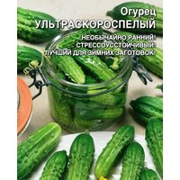 Коллекционные семена огурца Ультраскороспелый