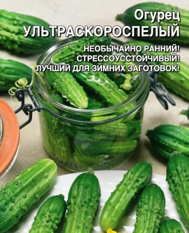 Коллекционные семена огурца Ультраскороспелый