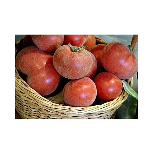 Коллекционные семена томата Персик