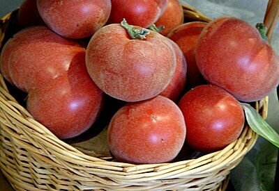 Коллекционные семена томата Персик