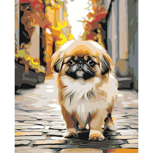Картина по номерам Собака Пекинес гуляет по городу 3 40x50 картина по номерам собака пекинес на фоне яркого неба 40x50