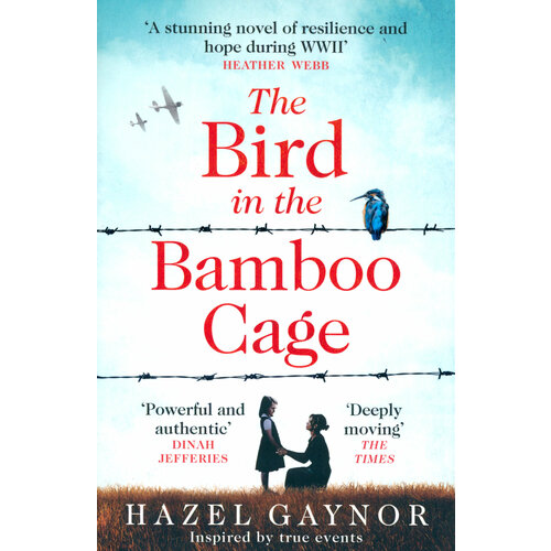 The Bird in the Bamboo Cage | Gaynor Hazel