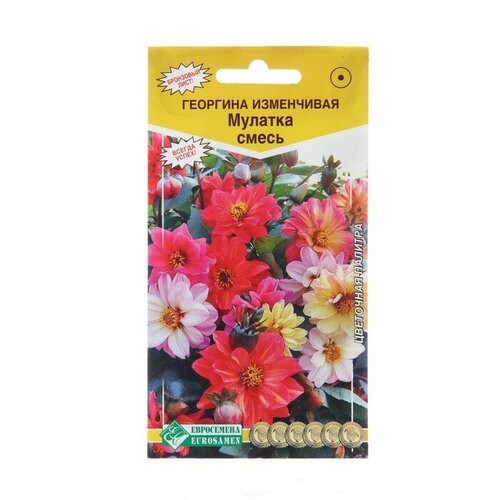 Семена цветов Георгина изменчивая Мулатка смесь, 20 шт 2 шт
