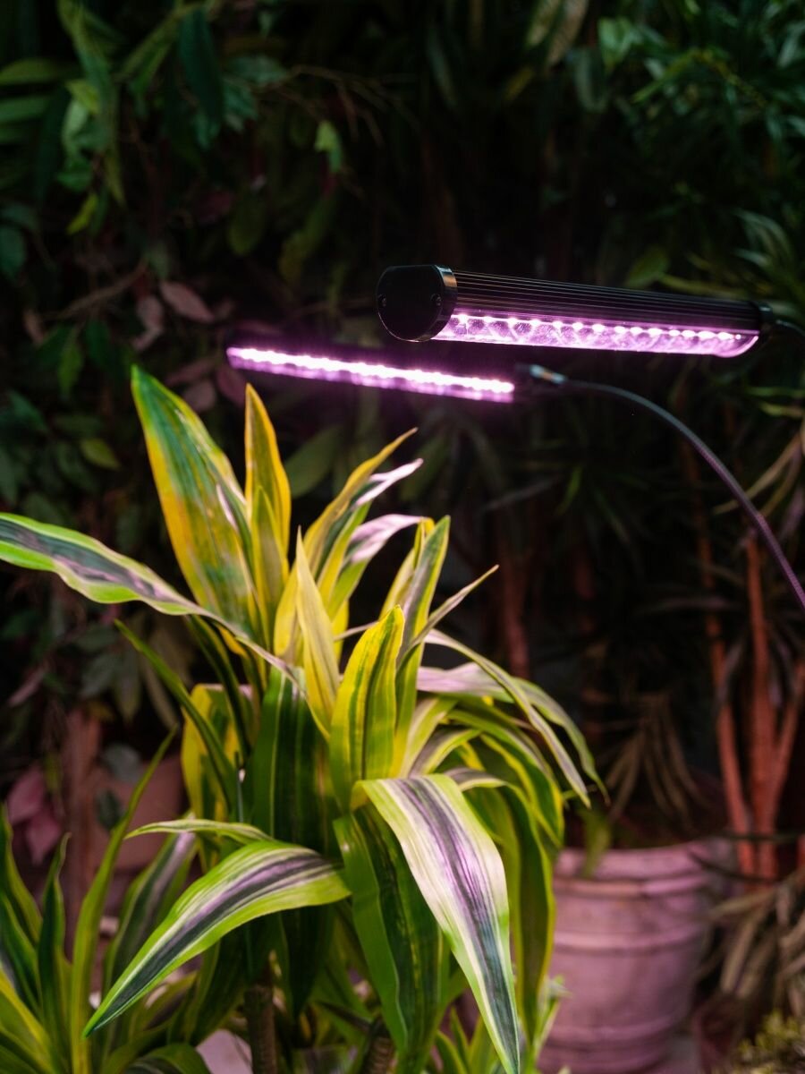 Светодиодный светильник для растений Uniel Minigarden ULT-P32-60W/SPLE/TM/40 UL-00008906 - фото №14