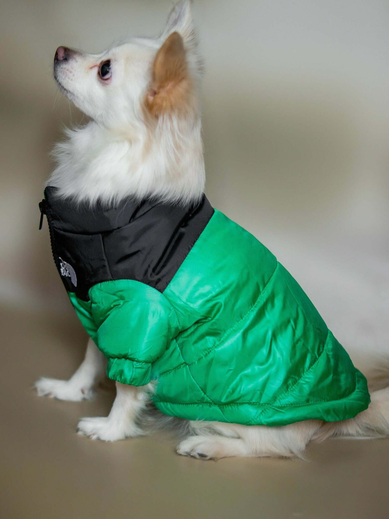 Куртка для собак зимняя, пуховик The dog face, одежда для собак. Размер L