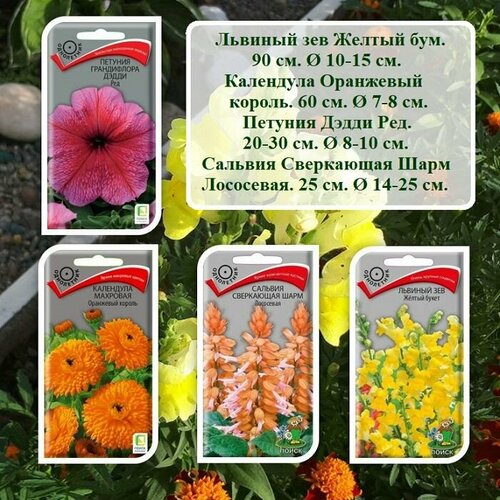 Набор семян цветов из 4х пачек - Сальвия, Львиный зев, Календула и Петуния.