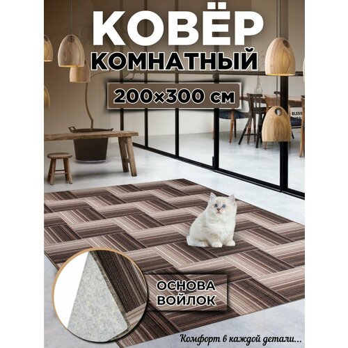 Ковры комнатный 200х300