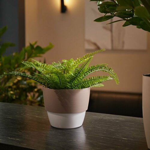 Кашпо двухцветное Валенсия с вкладкой для цветов