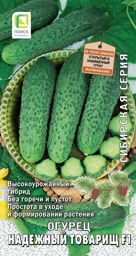 Семена Огурец Надежный товарищ F1 12 шт.
