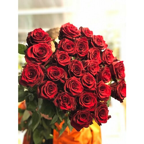 Розы красные стойкие 80 см