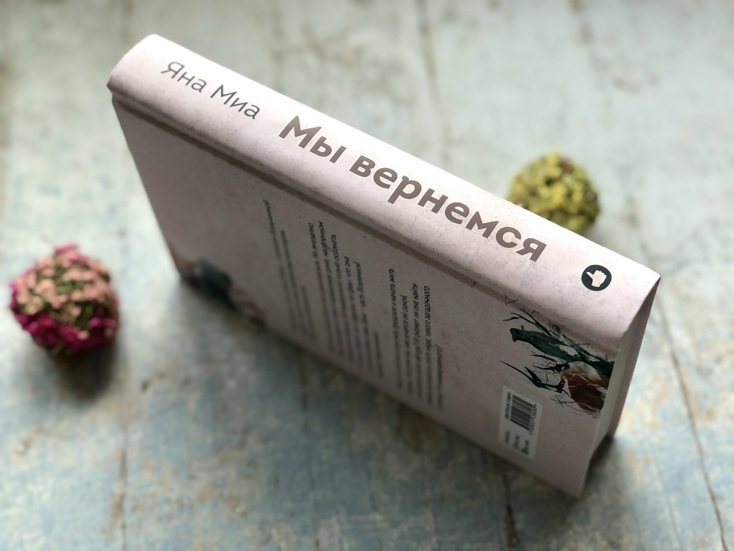 Мы вернемся (Яна Миа) - фото №14