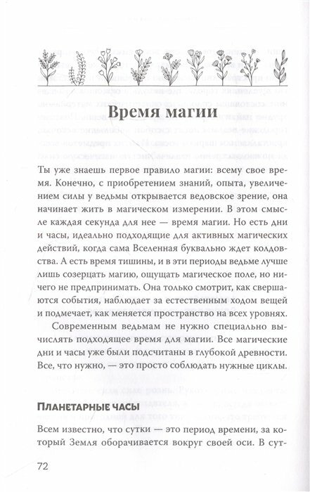 Green Magic. Большая колдовская книга о силе трав, камней, стихий, ароматов - фото №8