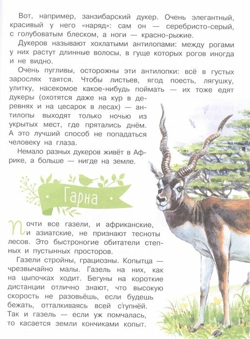 Удивительные звери (Акимушкин Игорь Иванович) - фото №20