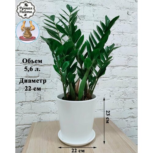 Керамический белый горшок для растений - замиокулькас, фикус, пальма. 5 литров.