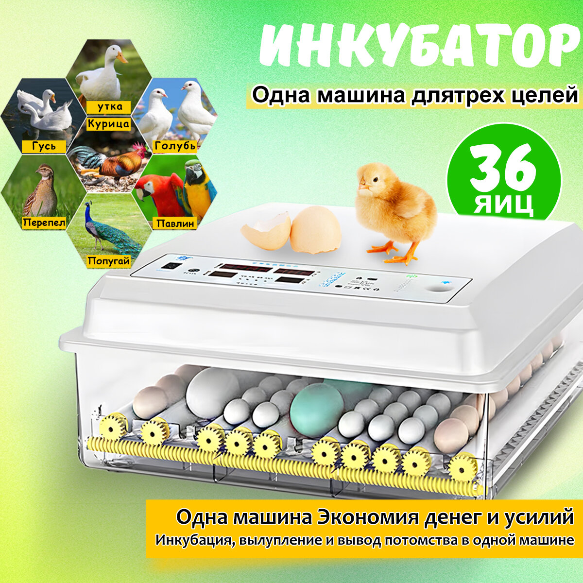 Макстоб, Инкубатор для яиц автоматический терморегулятором, автоповоротом на 36 куриных, 220V/12V