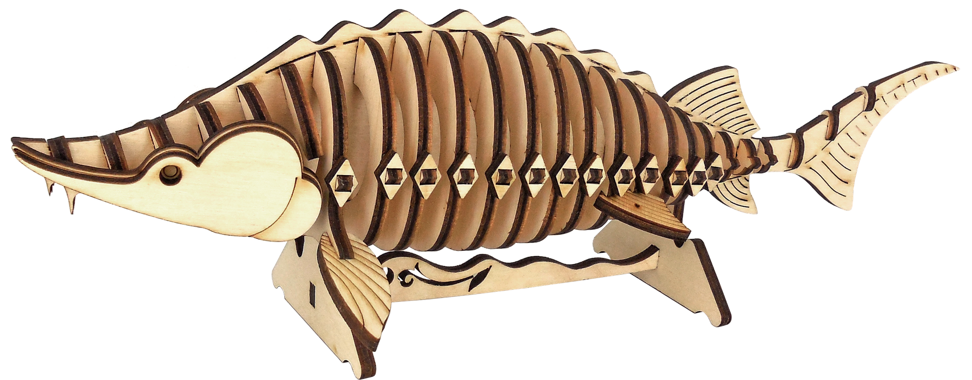 Сборная модель - осётр (упаковка - пакет) — фото 1