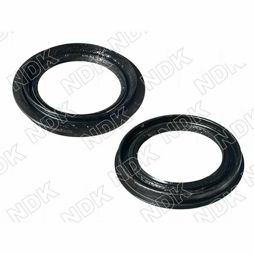 IPSAIP_2594012101 Сальник ступицы FR NS Terrano WD21, R50, R20, С22, D21, E24, E50, E51