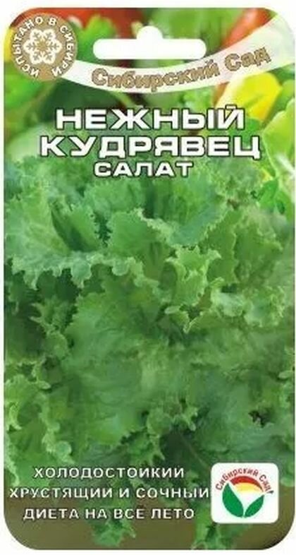 Семена растения Салат Нежный кудрявец