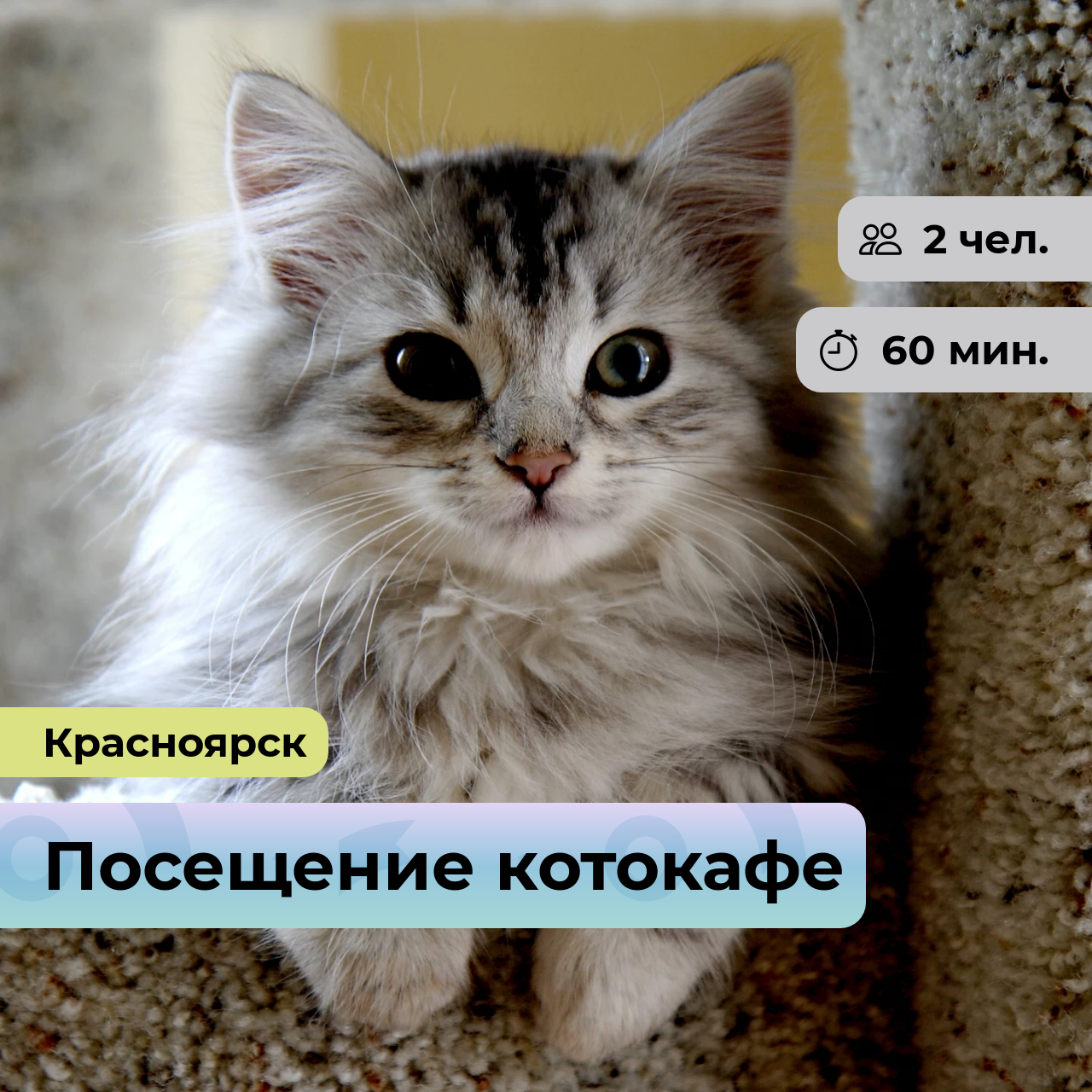 Подарочный...