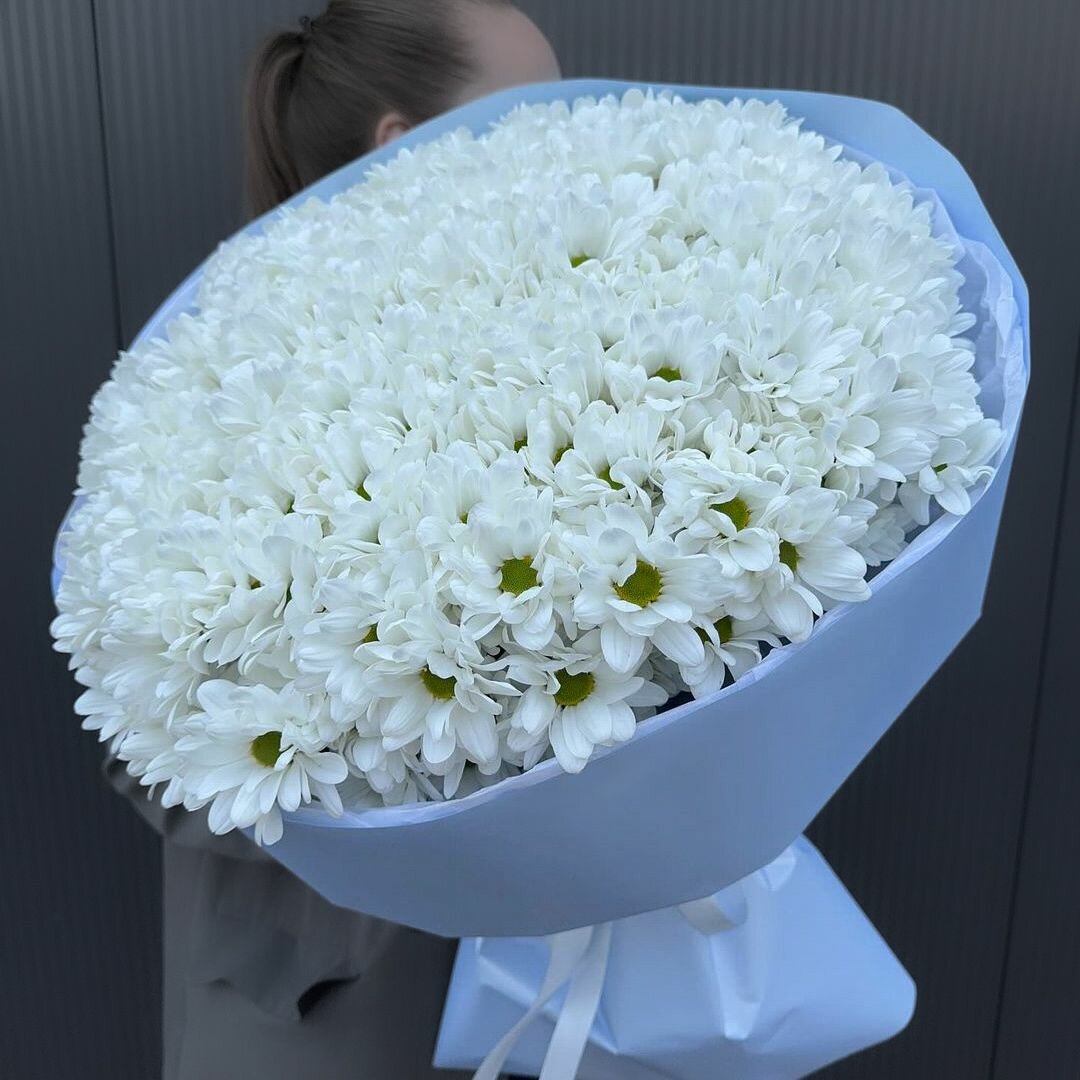 25 белых кустовых хризантем