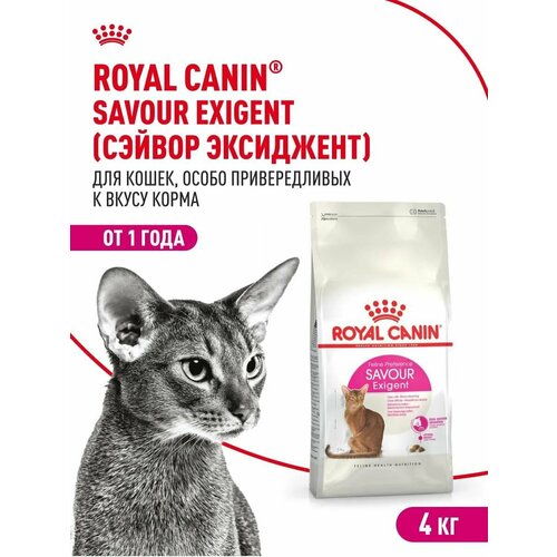 Сухой корм для кошек Royal Canin Feline Preference Savour Exigent, привередливых к вкусу продукта, с птицей, 4 кг