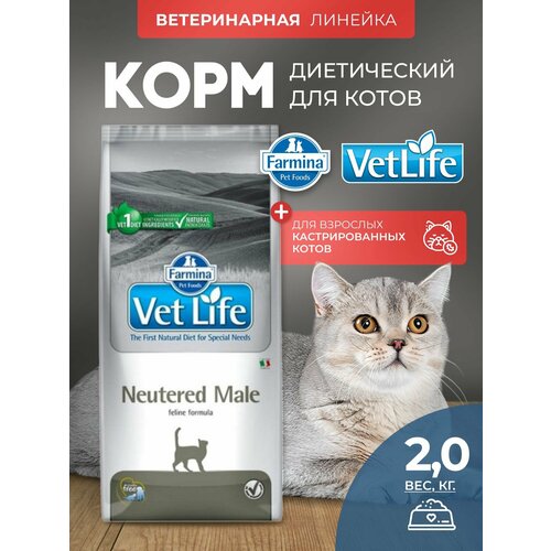 Cухой корм Farmina Vet Life Neutered Male для кастрированных котов, Фармина Вет Лайф рацион со вкусом курицы, 2 кг