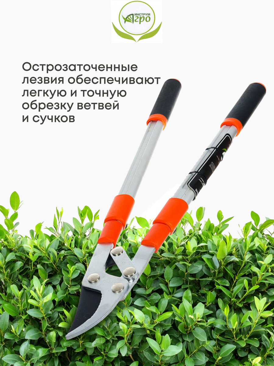 Изображение Ножницы кусторез садовые для дачи, 630 мм, для кустарников, Инструм-Агро, НКТО S329A-В