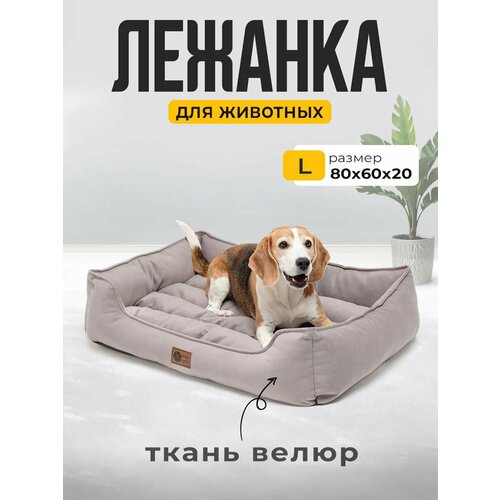 Лежанка для Кошек и Собак Большая с Бортиками и Подушкой
