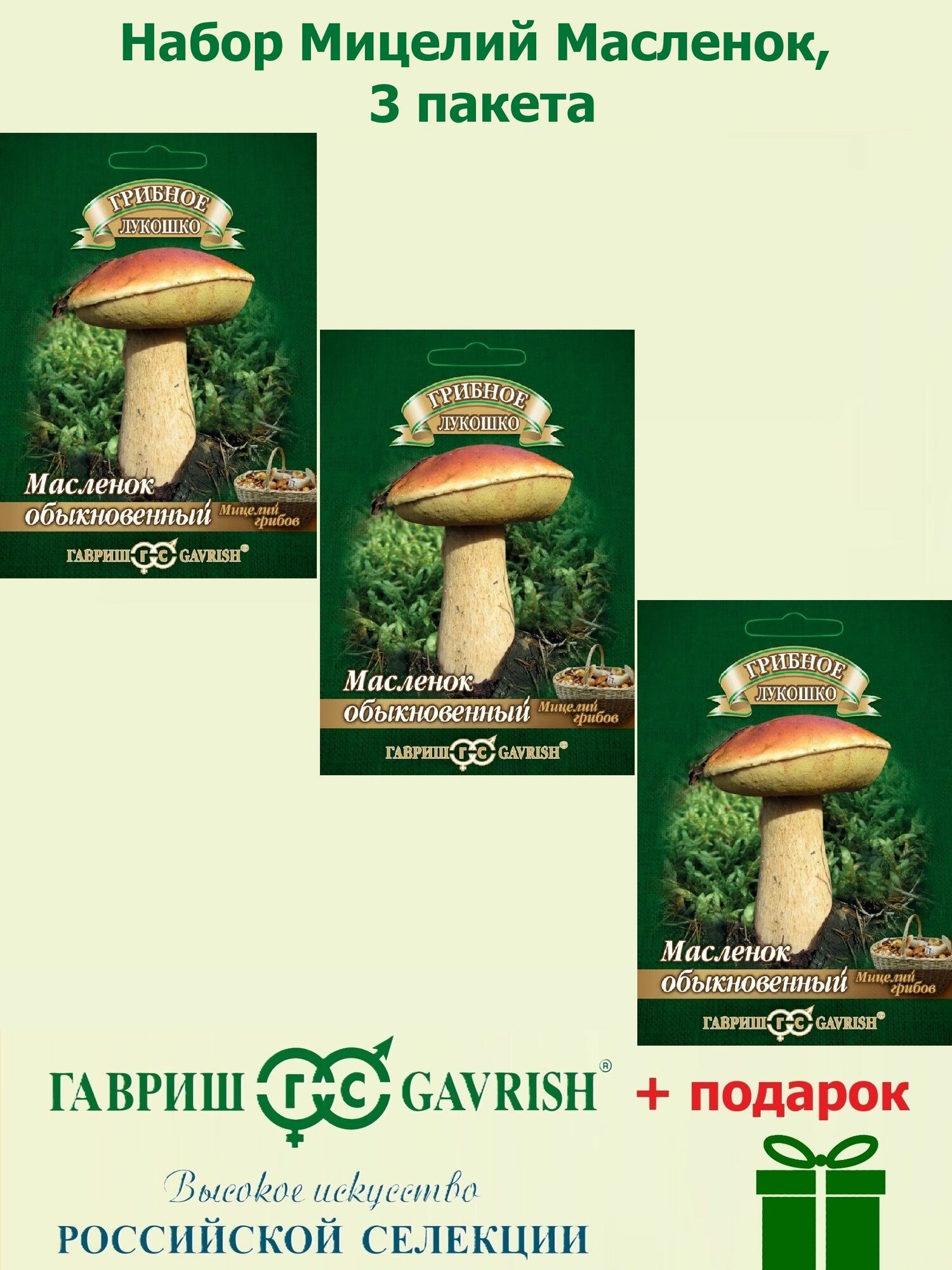 Набор Мицелий Масленок на зерновом субстрате 3 пакета