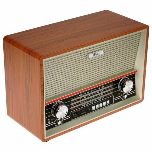 Радиоприемник Ritmix RPR-102 коричневый