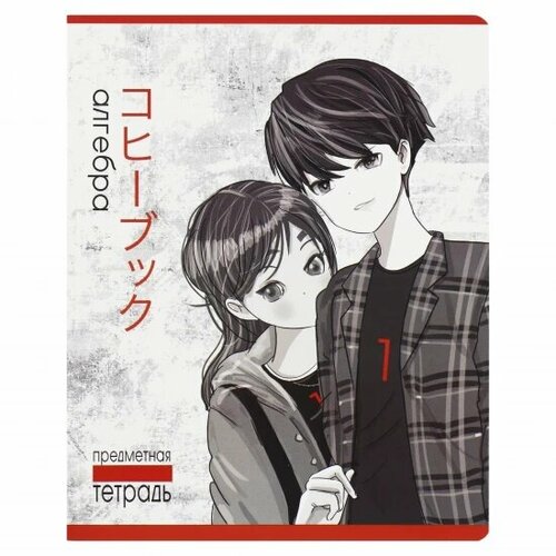 Полотняный завод Тетрадь предметная 48 листов, Алгебра, клетка 