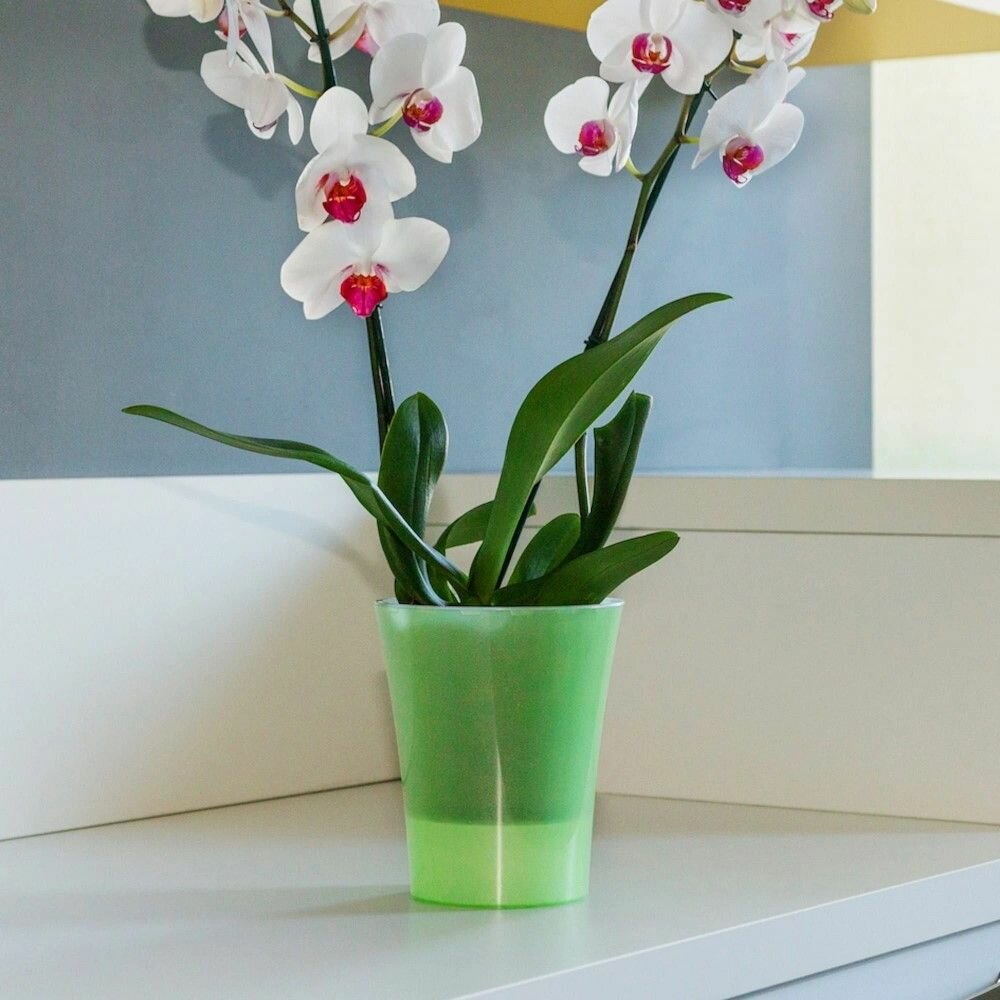 Кашпо для орхидей пластиковое зеленое d16,5 см h15 см 2 л