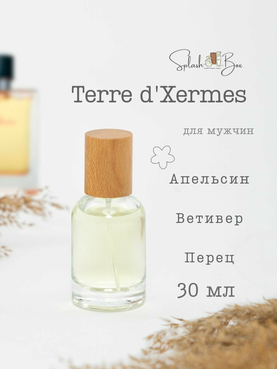 Terre d'Hermes духи стойкие