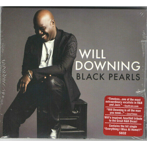 AUDIO CD WILL DOWNING: Black Pearls. 1 CD fitness at home aerobics nonstop 2 cd