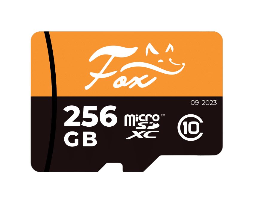 Карта памяти Fox microSD XC Class10, 256Гб