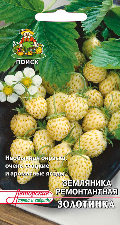 Земляника Золотинка 100шт. (авт. серия) (Поиск)