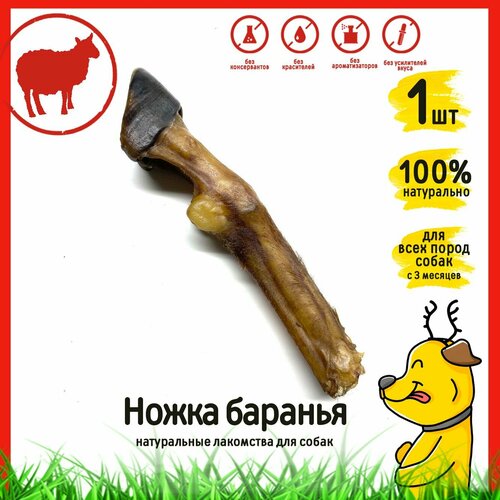 Лакомство для собак 