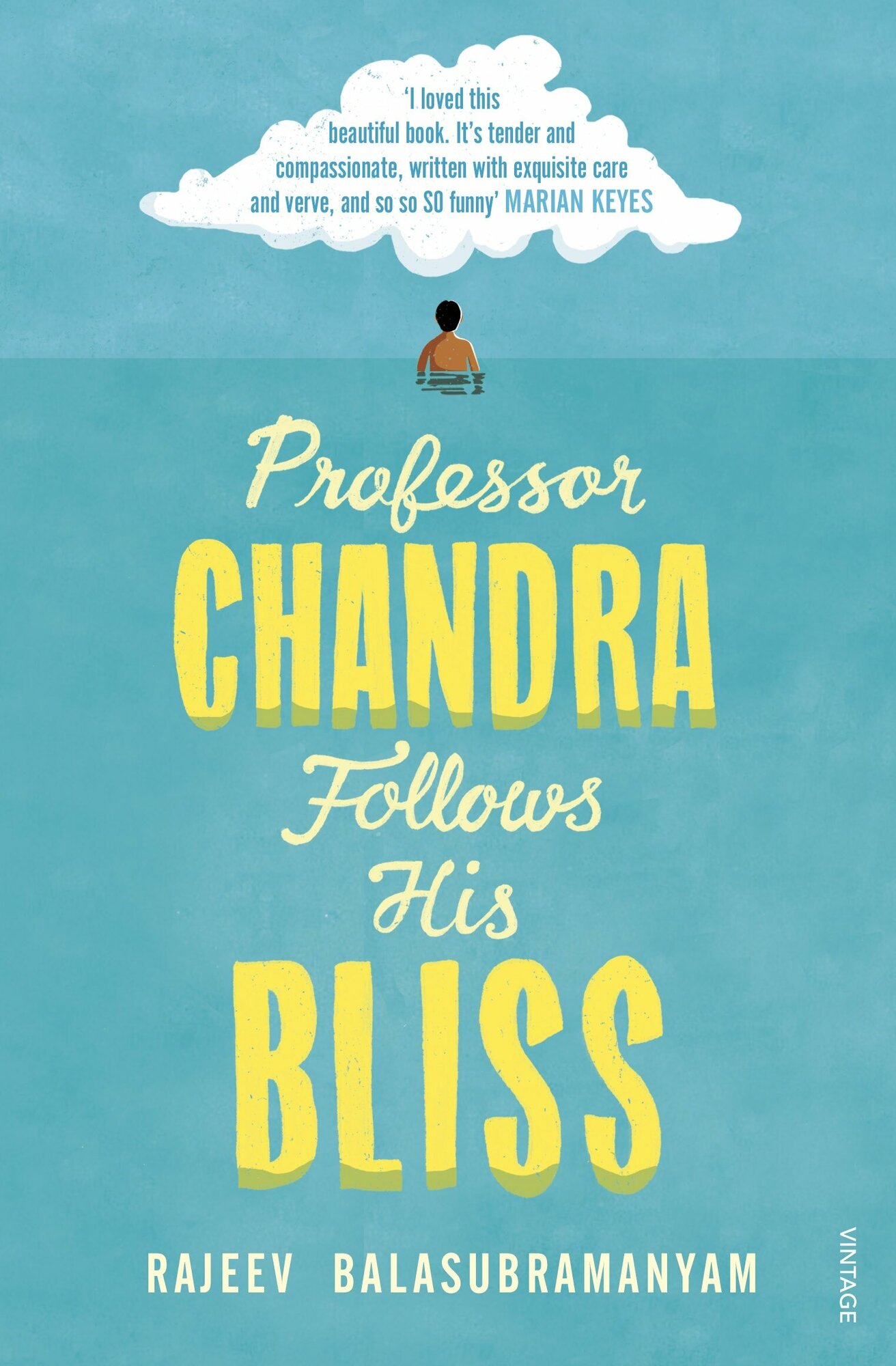 Professor Chandra Follows His Bliss / Книга на Английском - фото №1
