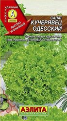 Семена Салат Кучерявец Одесский П., полукочанный (Аэлита) 0,5г