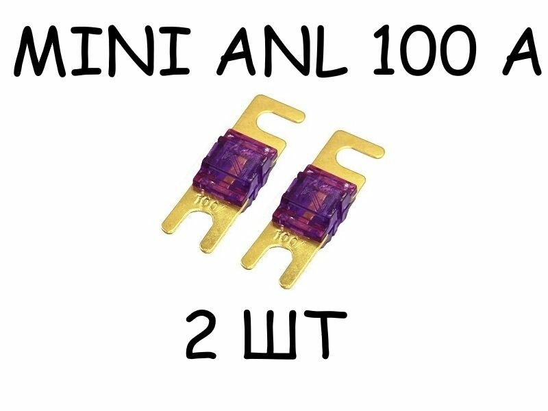 Предохранители MiniANL 100 ампер 2 шт.