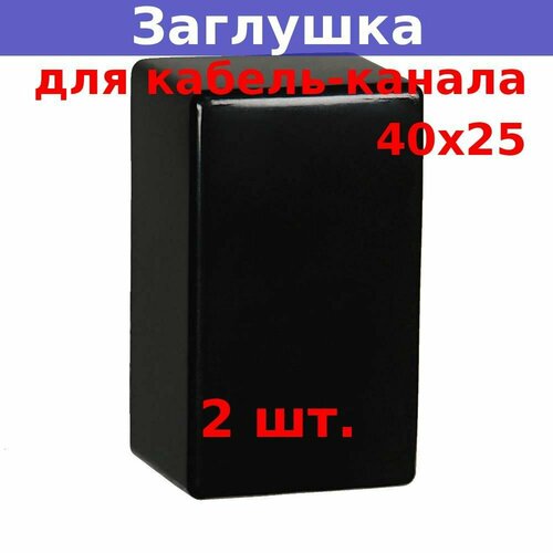 Заглушка 40х25 для кабель-канала, черная (2 шт.)