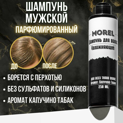 MOREL Шампунь мужской для волос от перхоти для жирных волос профессиональный парфюмированный, 250 мл