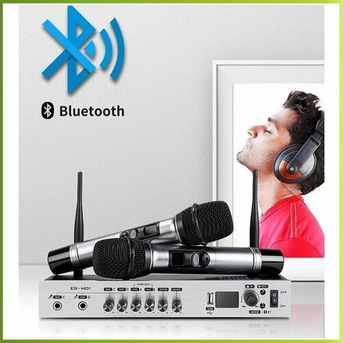 EALSEM ES-HD1 - домашняя караоке-радиосистема USB Bluetooth Line InOut запись на флэш накопитель ЭХО 900000₽