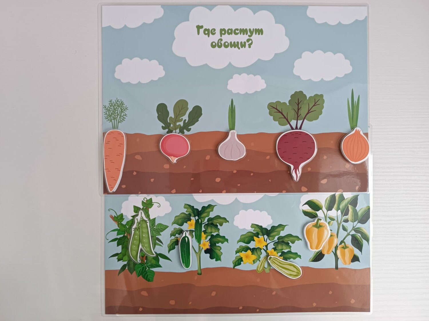 Развивающая игра на липучках "Где растут овощи?"