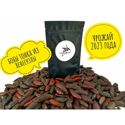   TONKA BEANS 10 