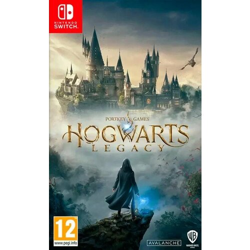 Hogwarts Legacy [Switch, русская версия] игра hogwarts legacy standard edition ps5 русская версия