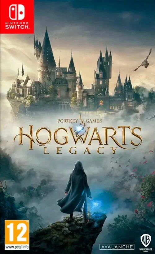 Hogwarts Legacy [Switch, русская версия]